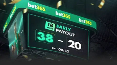 《泰山荣耀：戴琳十年征程，收入盛宴突破千万大关》