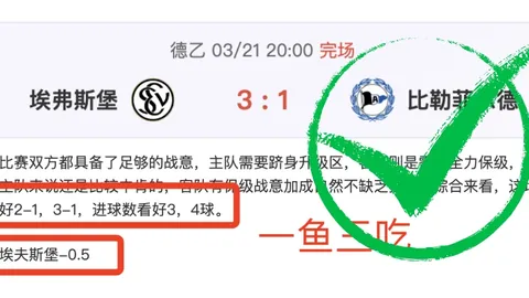 “44岁‘退钱哥’谈中冠参赛：否认内幕操控，非职业球员身份”